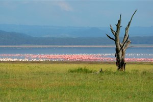  Lake Nakuru - 3