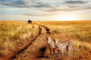  Masai Mara - 3