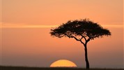 Vzpomínky na Afriku - Masai Mara, jezero Naivasha, Amboseli, Tsavo West a pobyt u moře. Český průvodce.