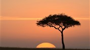 Vzpomínky na Afriku - Masai Mara, jezero Naivasha, Amboseli, Tsavo West a pobyt u moře. Český průvodce.