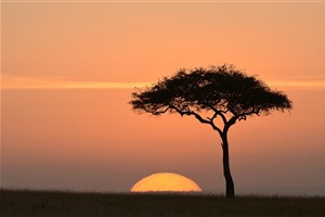  Masai Mara - 6