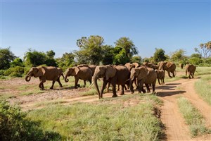  Meru National Park - 10