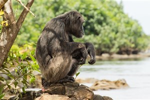  Ol Pejeta - 17