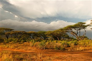  Samburu - 9