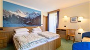 Hotel Latemar ***