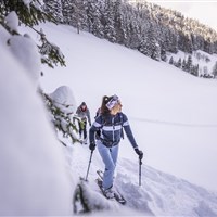 DAS Hintersee (W) - ckmarcopolo.cz