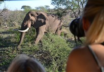 Náklaďákem na safari do Krugerova NP