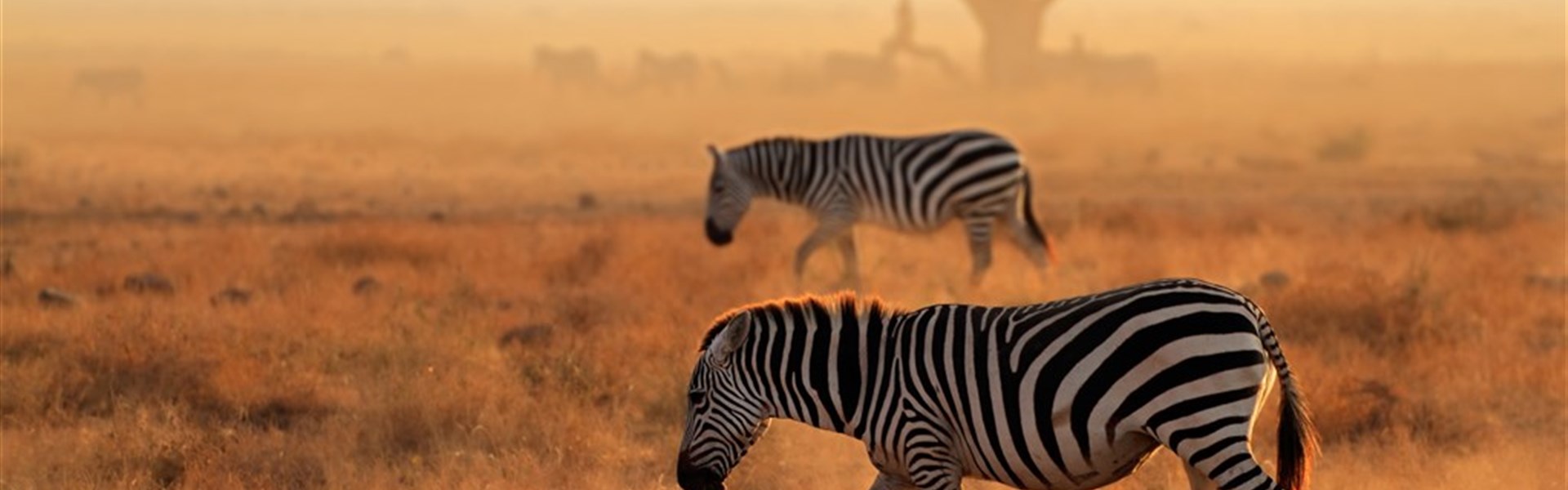 Vzpomínky na Afriku - Masai Mara, jezero Naivasha, Amboseli, Tsavo West a pobyt u moře. Český průvodce. - 