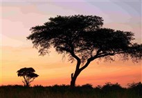 Uganda-Semuliki