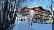 Park Hotel Avisio****