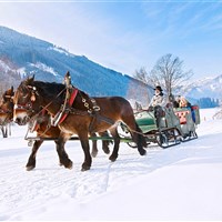 Almdorf Homes (W) - ckmarcopolo.cz