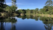 Safari ve třech parcích s možností prodloužení u moře
