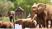 Safari ve třech parcích s možností prodloužení u moře