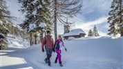 Falkensteiner Hotel Sonnenalpe **** - zima 20/21