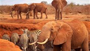 Safari v krajině červených slonů a pobyt u moře na Malindi - Kena-Tsavo-East