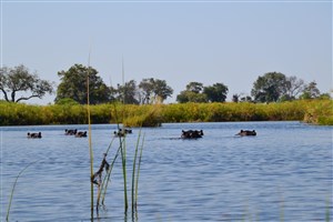  Botswana - 13