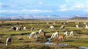 Exkluzivní Peru - pro náročné cestovatele