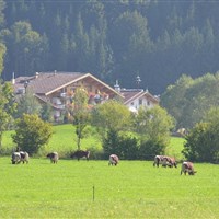 Familotel Landgut Furtherwirt (S) - ckmarcopolo.cz