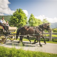 Familotel Landgut Furtherwirt (S) - ckmarcopolo.cz