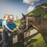 Familotel Landgut Furtherwirt (S) - ckmarcopolo.cz