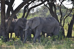  Botswana - 23