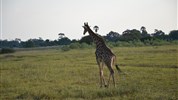 Na safari do Botswany s českým průvodcem
