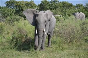  Botswana - 24