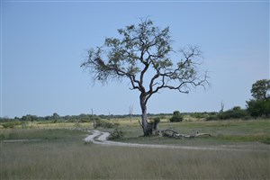  Botswana - 26