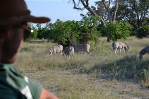  Botswana - 27