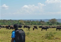 Tanzanie_Arusha National Park