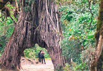 Tanzanie_Arusha National Park