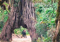 Tanzanie_Arusha National Park