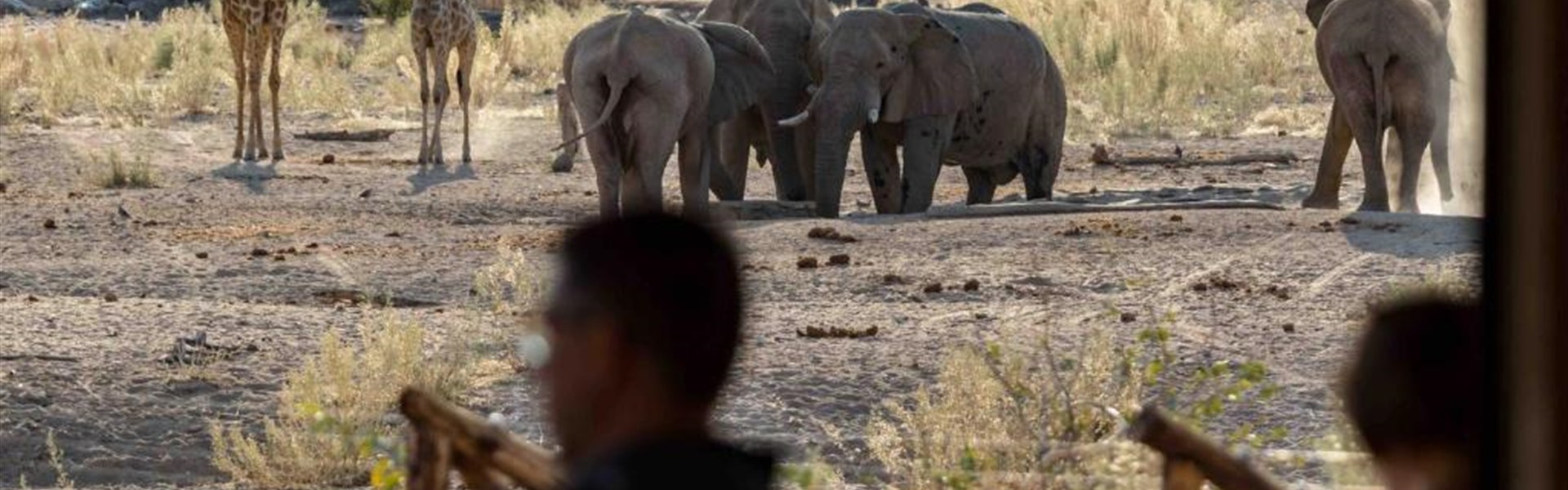 Marco Polo - Hobatere Lodge 4* - Namibie_Hobatare Lodge