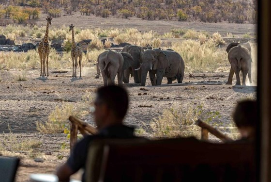 Marco Polo - Hobatere Lodge 4* - Namibie_Hobatare Lodge