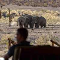 Hobatere Lodge 4* - Namibie_Hobatare Lodge - ckmarcopolo.cz