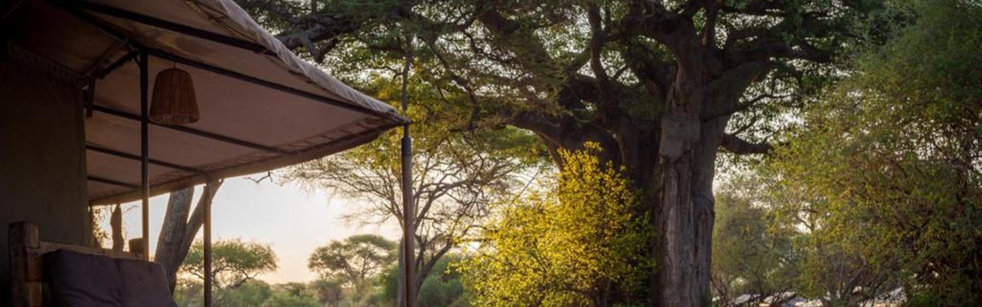 Marco Polo - Baobab Tented Camp 4* - Tanzanie_Baobab Camp