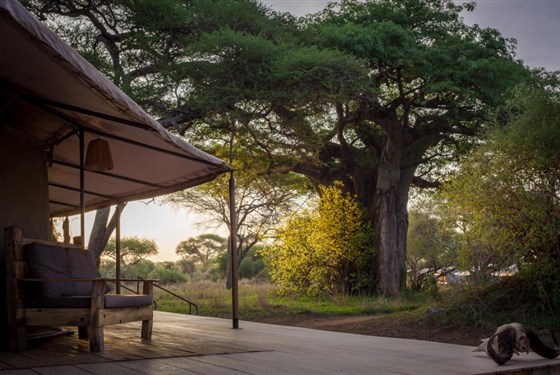 Marco Polo - Baobab Tented Camp 4* - Tanzanie_Baobab Camp