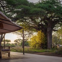 Baobab Tented Camp 4* - Tanzanie_Baobab Camp - ckmarcopolo.cz