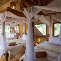 Baobab Tented Camp 4* - Tanzanie_Baobab Camp - ckmarcopolo.cz