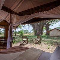 Baobab Tented Camp 4* - Tanzanie_Baobab Camp - ckmarcopolo.cz