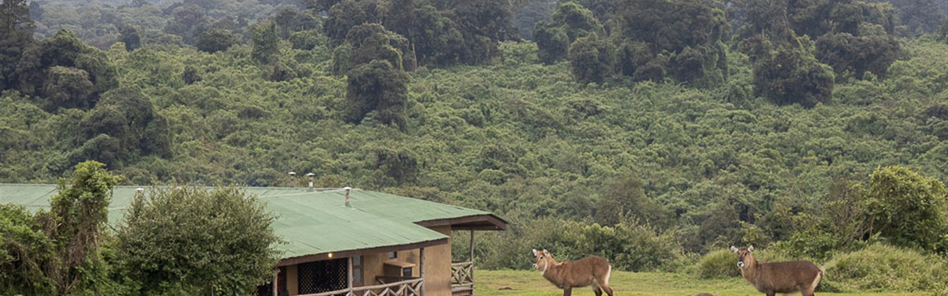 Marco Polo - Ngorongoro Rhino Lodge 3* plus - Tanzanie_Ngorongoro Rihno Lodge