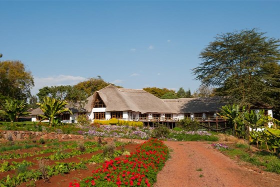 Marco Polo - Ngorongoro Farm House 4*plus - Tanzanie_Ngorongoro Farm House