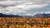 Aljašská odysea a po stopách zlatokopů na Yukonu s českým průvodcem