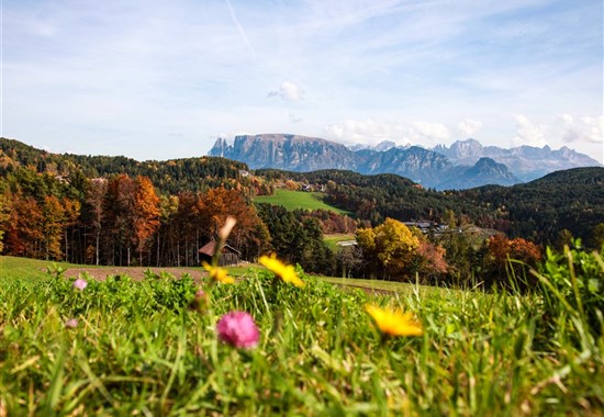 Kouzelné Trentino - Evropa