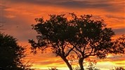 Zázraky Afriky: Velká migrace v Serengeti a kráter Ngorongoro  a odpočinek na rajském Zanzibaru - Tanzanie_Serengeti_západ slunce