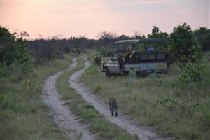  Botswana - 31