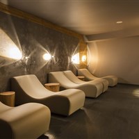 Hotel Linta Wellness & Spa (léto(/Sommer) - ckmarcopolo.cz