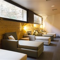 Hotel Linta Wellness & Spa (léto(/Sommer) - ckmarcopolo.cz