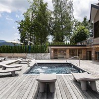 Hotel Linta Wellness & Spa (léto(/Sommer) - ckmarcopolo.cz