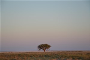  Botswana - 41